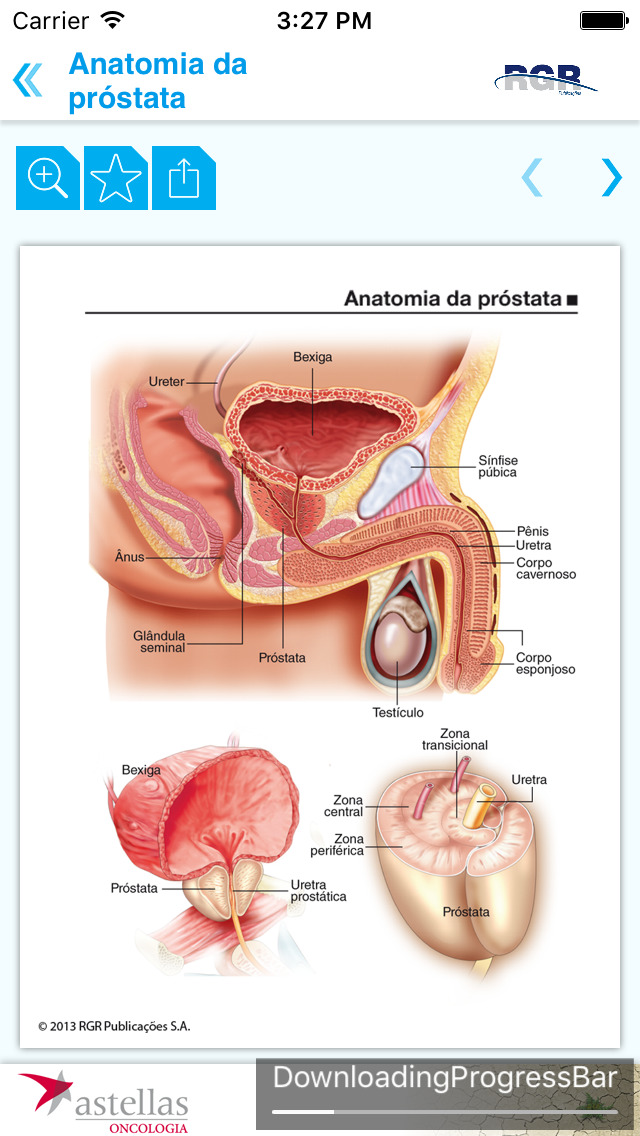 Atlas Câncer de Próstata for iPhone