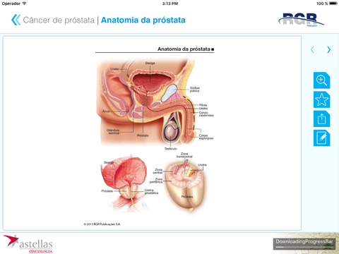 Atlas Câncer de Próstata for iPad