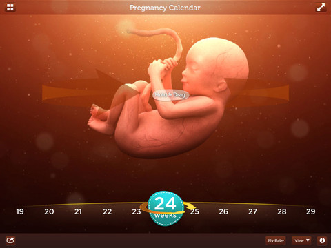 Pampers Hello Baby Pregnancy Calendar for iPad