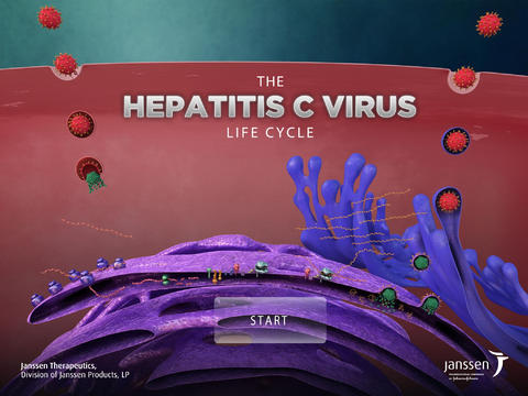 HCV Life Cycle