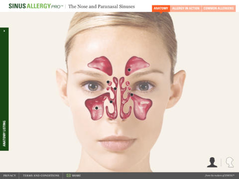 Sinus Allergy Pro