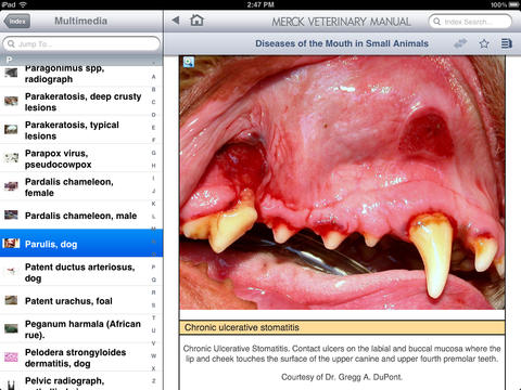 The Merck Veterinary Manual - iPad