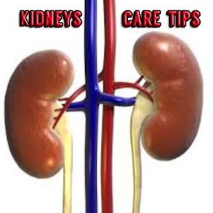 Kidneys Care Tips