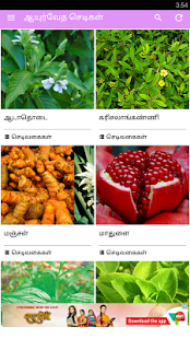 Ayurvedic Herbal  Plants Tips