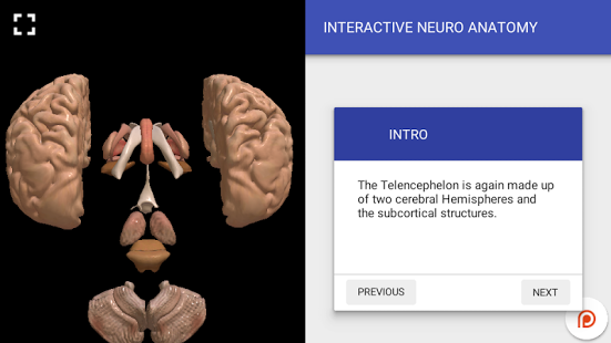Interactive Neuro Anatomy 3D