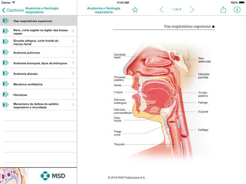 Atlas Rinite e Asma for iPad