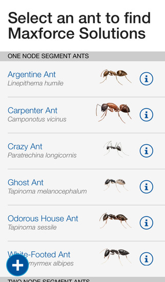 Bayer Maxforce Ant Solutions for iPhone