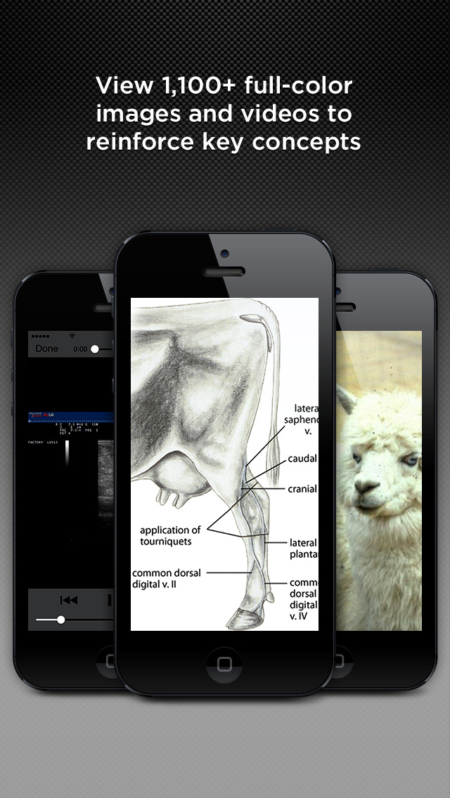 Merck Veterinary Manual for iPhone