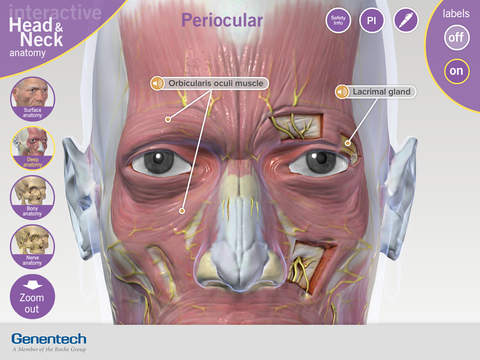 3D Facial Anatomy Tool for iPad