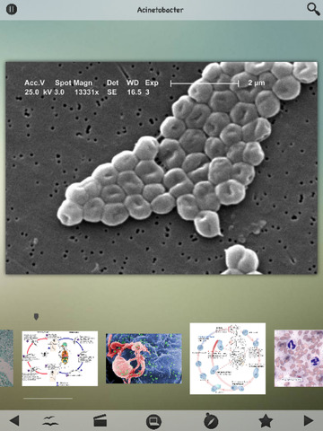 Infectious Diseases Info + for iPad