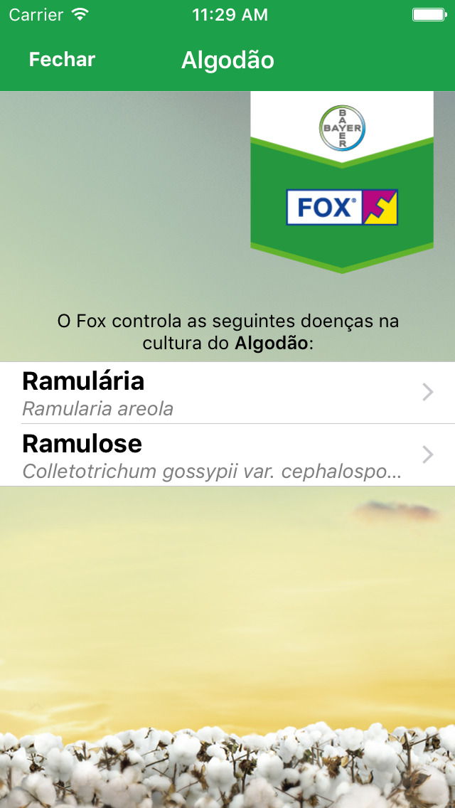 FOX - Bayer for iPhone