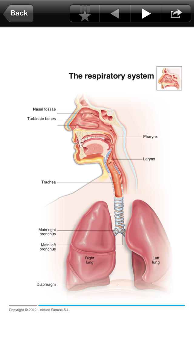 Respiratory Mini Atlas for iPhone