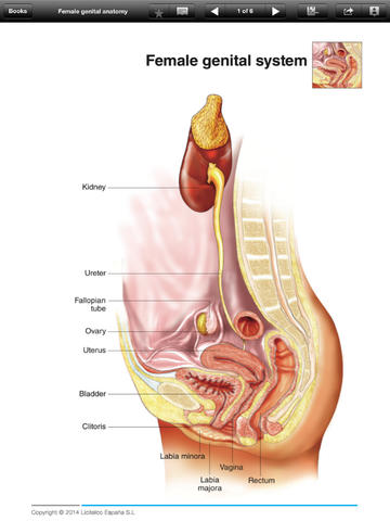 Gynecology Mini Atlas for iPad