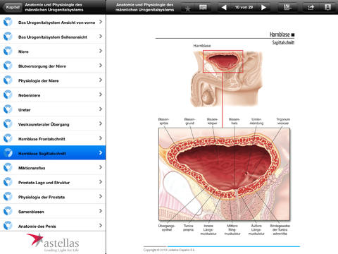 Miniatlas Urologie for iPad