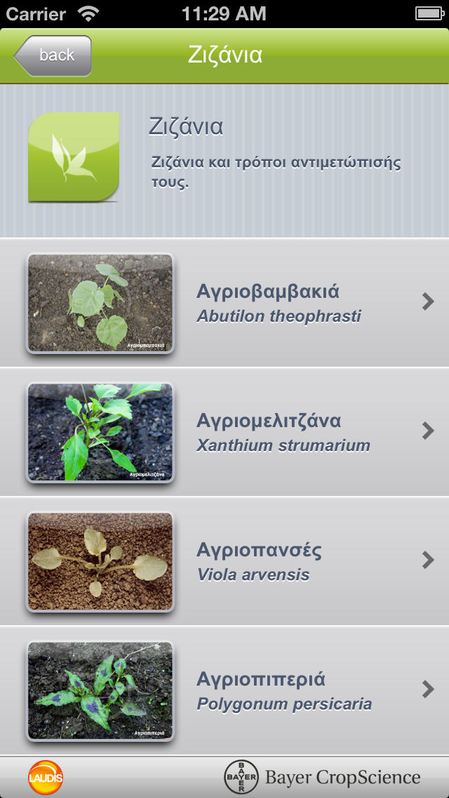 Καλαμπόκι Bayer CropScience for iPhone