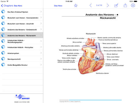 Kardiovaskuläre Erkrankungen for iPad