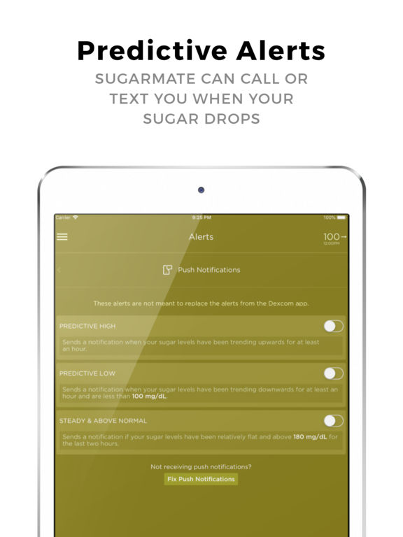 Sugarmate for iPad