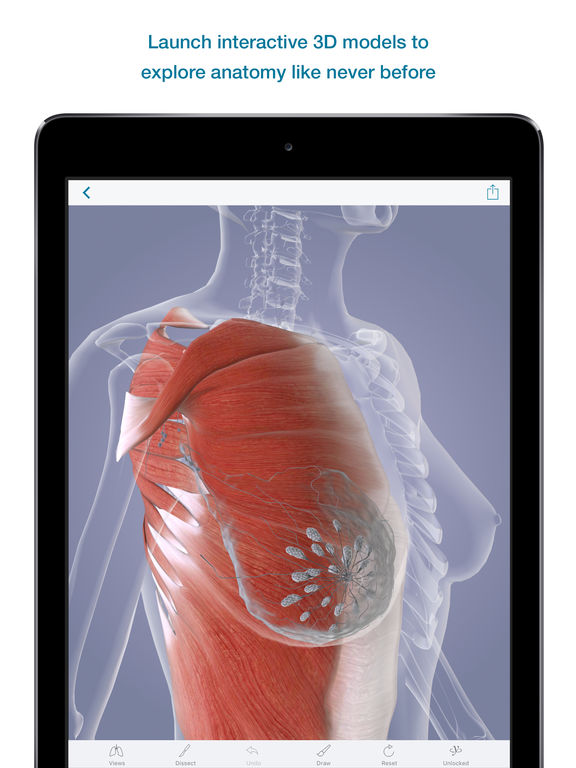 3D Body Explorer for Oncology + Hematology for iPad