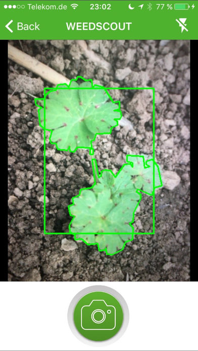 WEEDSCOUT for iPhone