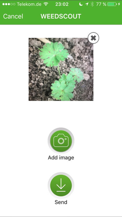 WEEDSCOUT for iPhone