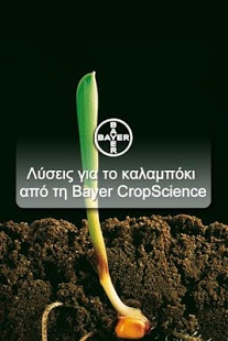 Καλαμπόκι Bayer CropScience