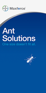Bayer Maxforce Ant Solutions