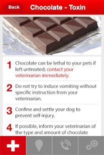 First Aid For Pets