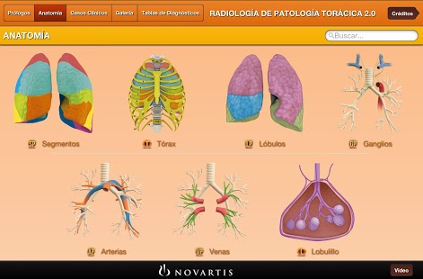 Radiología Patología Torácica