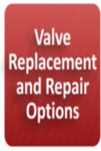 Valve Replacement & Repair
