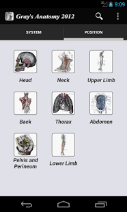 Gray's Anatomy 2012 Lite